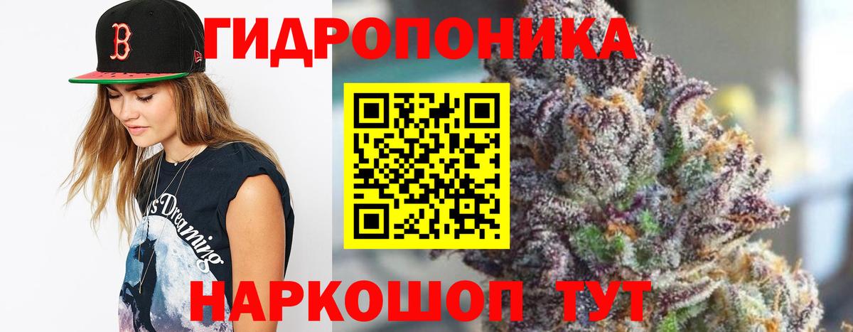 Шишки марихуана сатива  Бошки Шишки OG Kush  МАРИХУАНА план  Канабис AK-47  Вход с VPN  Тюмень 